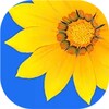 星空无限国语免费版